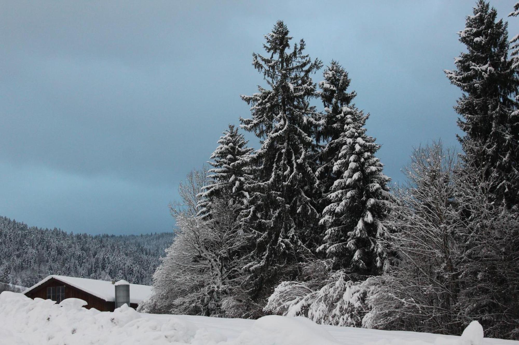 Naturparadies Silvia อัลเบอร์ชเวนเดอ ภายนอก รูปภาพ