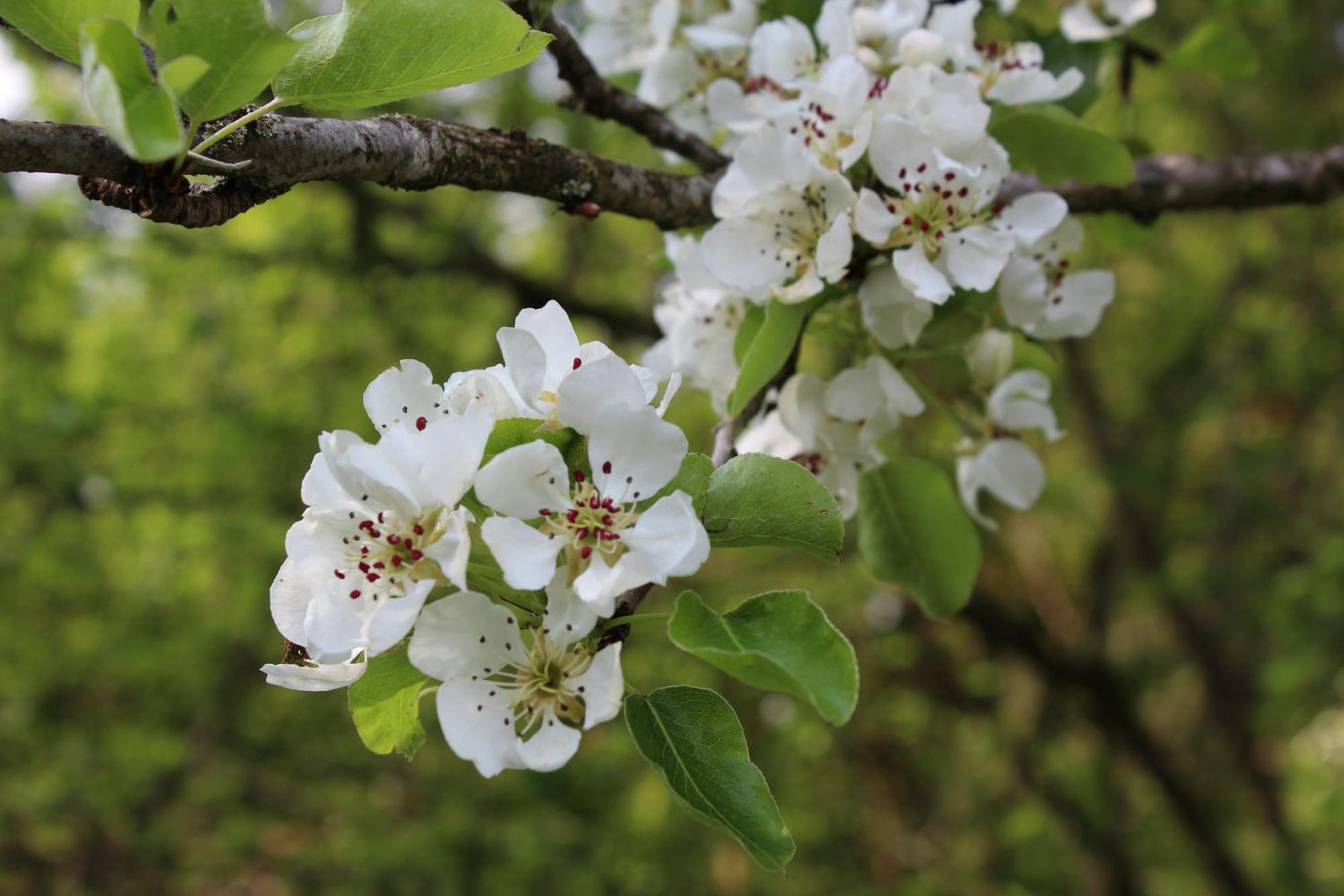 Naturparadies Silvia อัลเบอร์ชเวนเดอ ภายนอก รูปภาพ