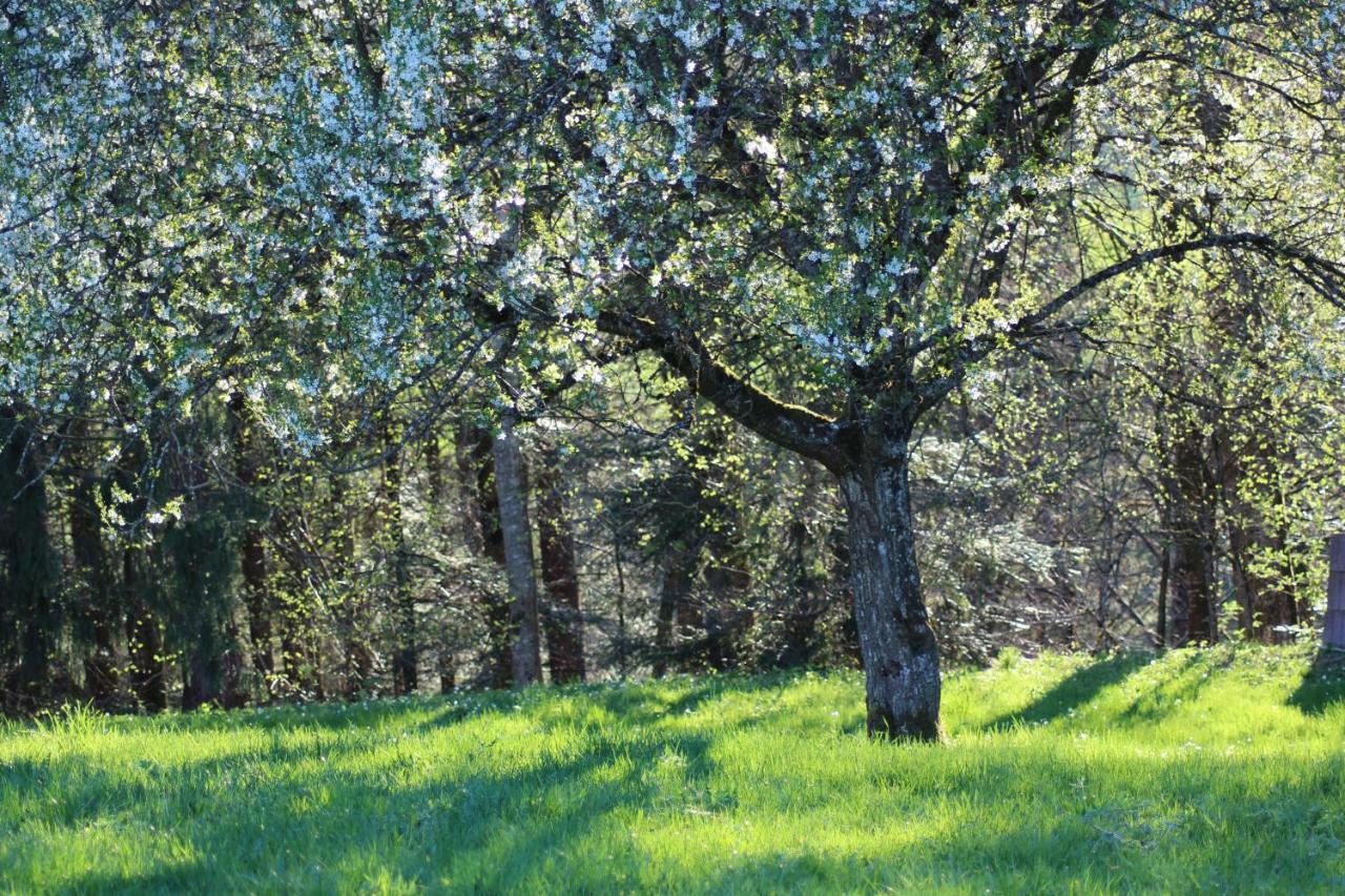 Naturparadies Silvia อัลเบอร์ชเวนเดอ ภายนอก รูปภาพ