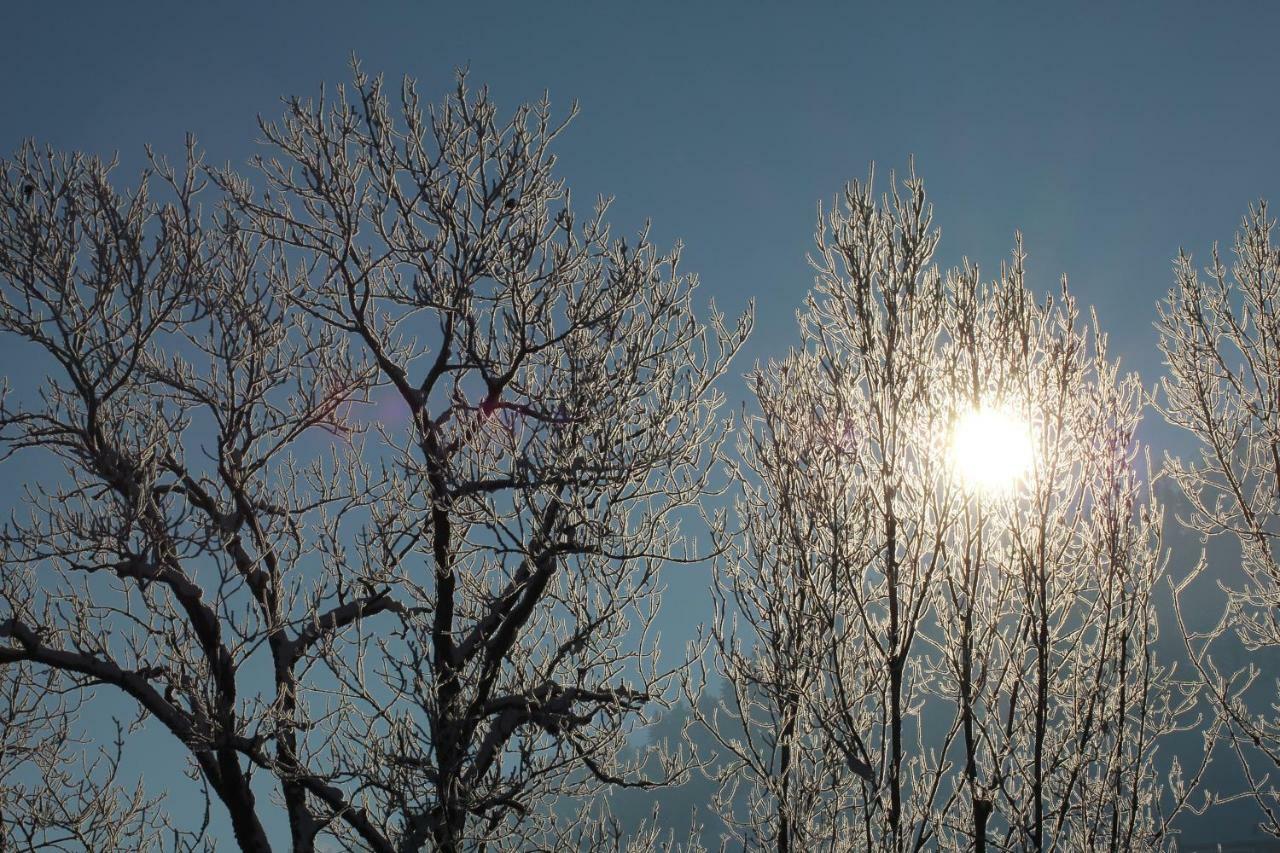 Naturparadies Silvia อัลเบอร์ชเวนเดอ ภายนอก รูปภาพ